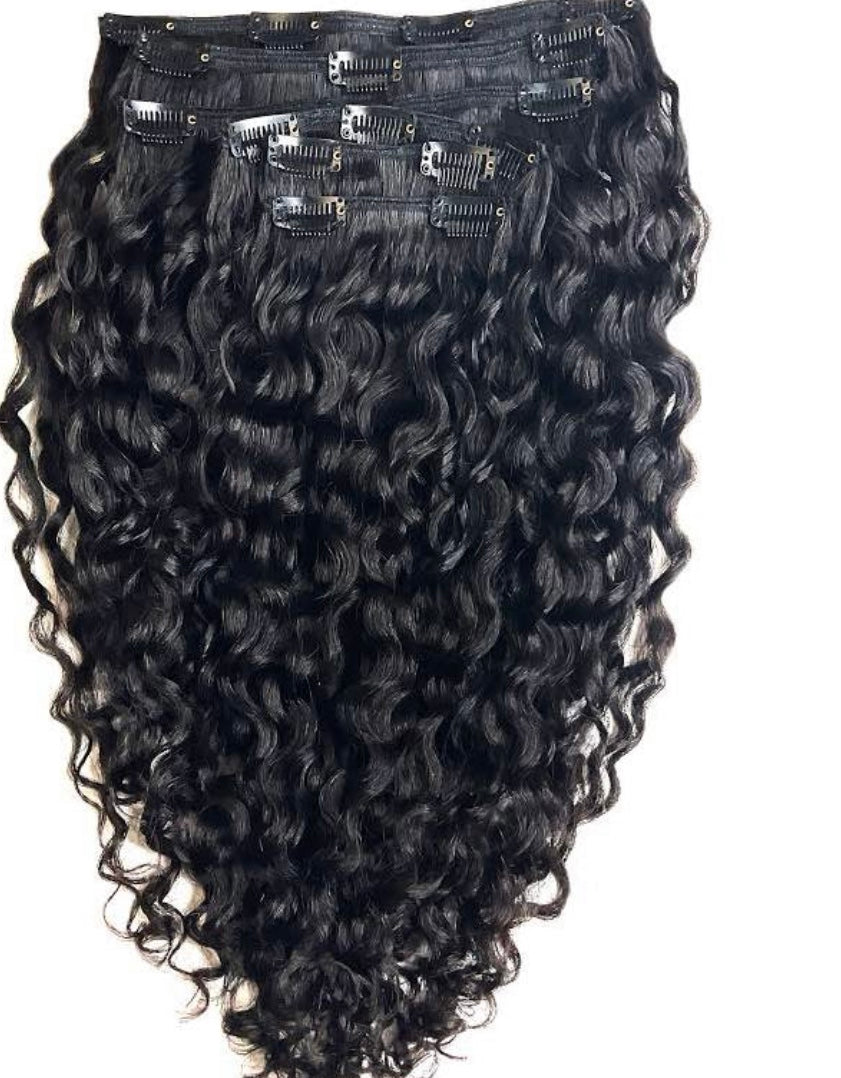 Clip In Extensions        (Raw Hair)