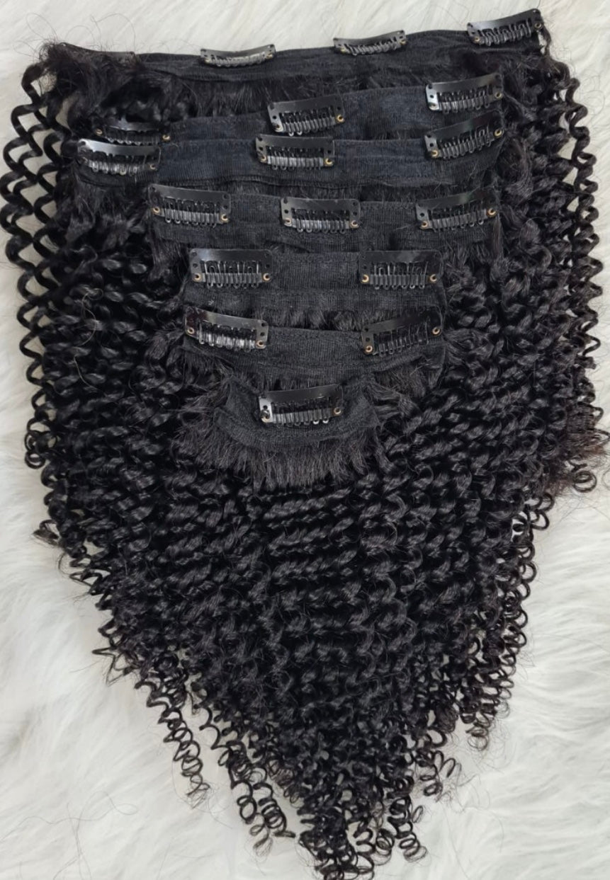 Clip In Extensions        (Raw Hair)